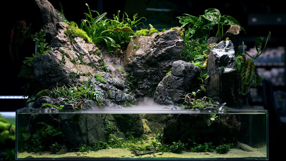 The Art and Science of Paludariums: A Living Intersection of Land and Water