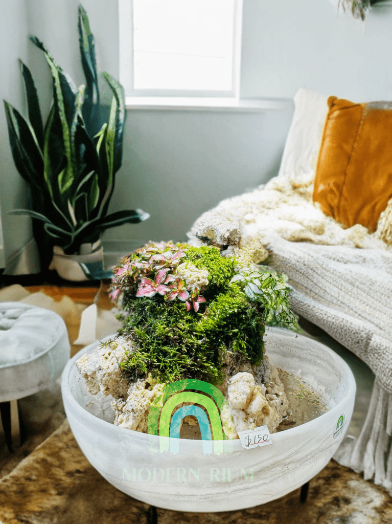 Cushion of Canopy – Paludarium with Waterfall Effects