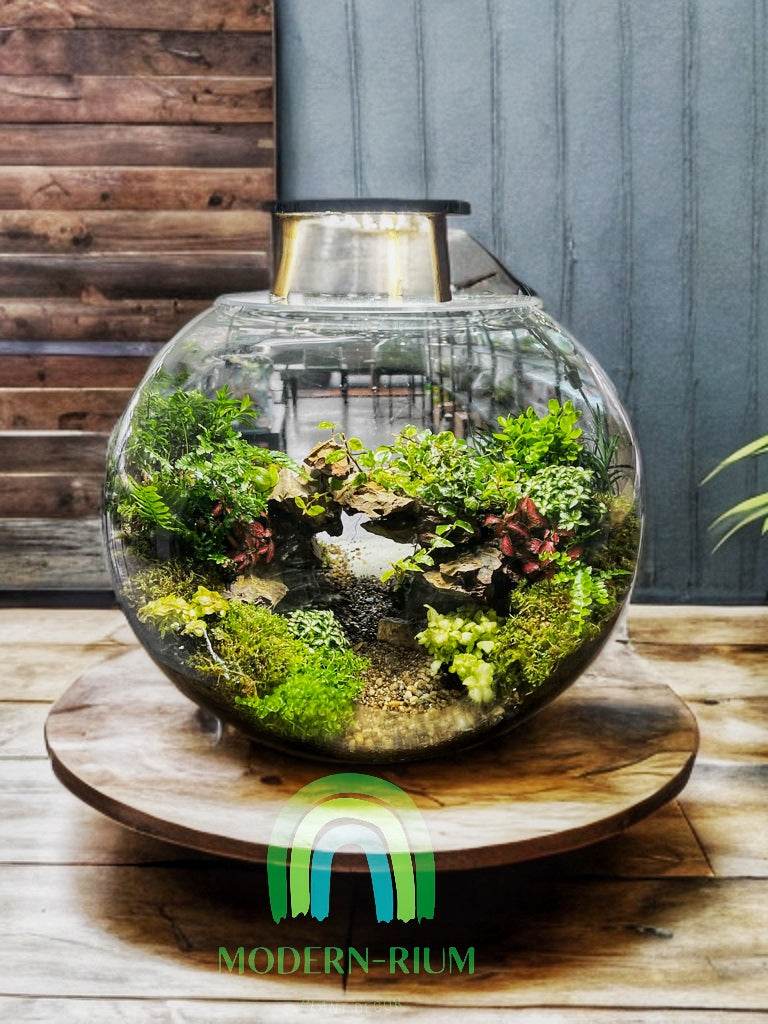 Mossbridge Hollow – Gateway Arch Terrarium in Glass Orb
