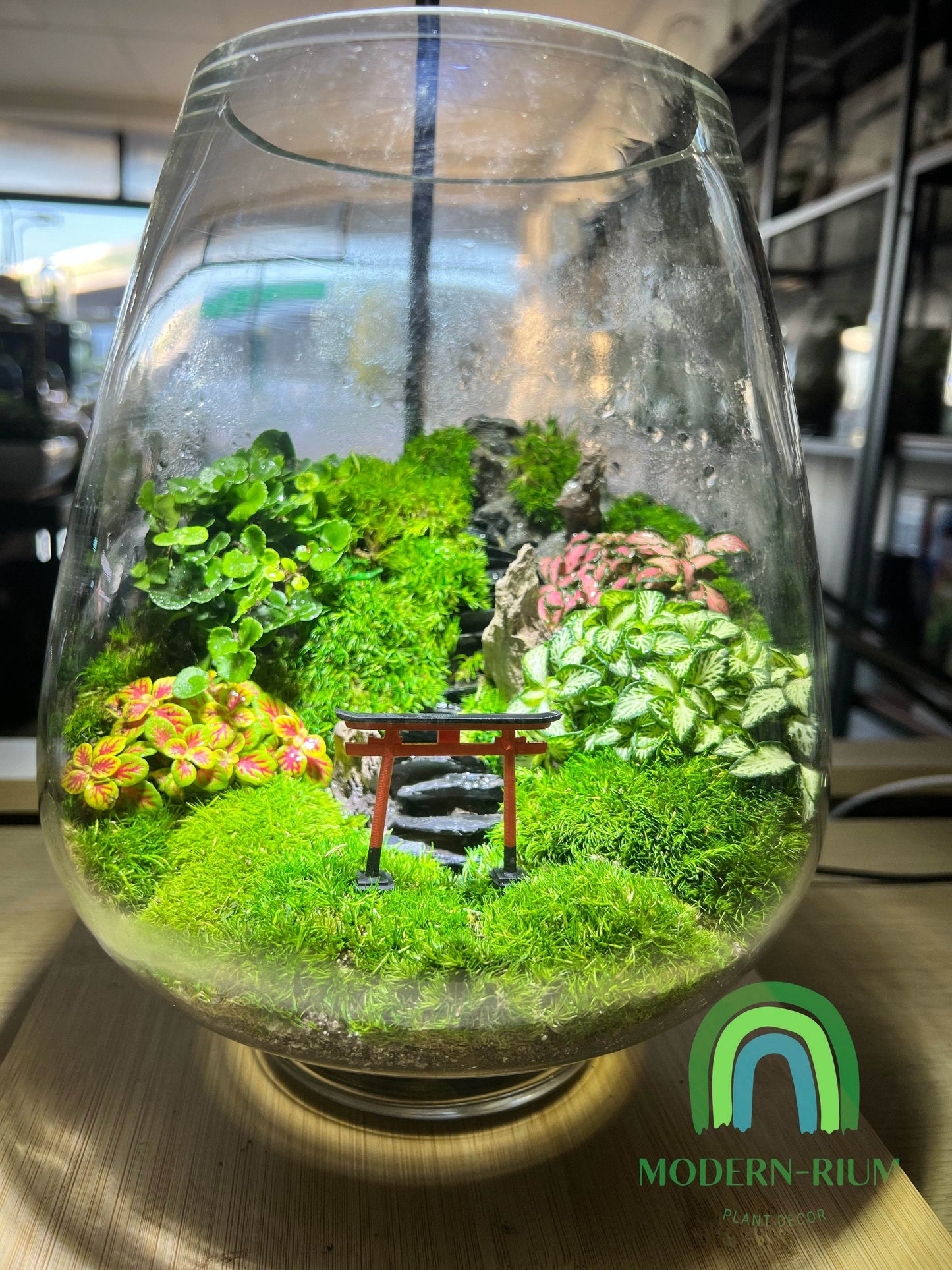 Torii gate mountain terrarium- EcoCourier series - ready made terrarium Australia wide