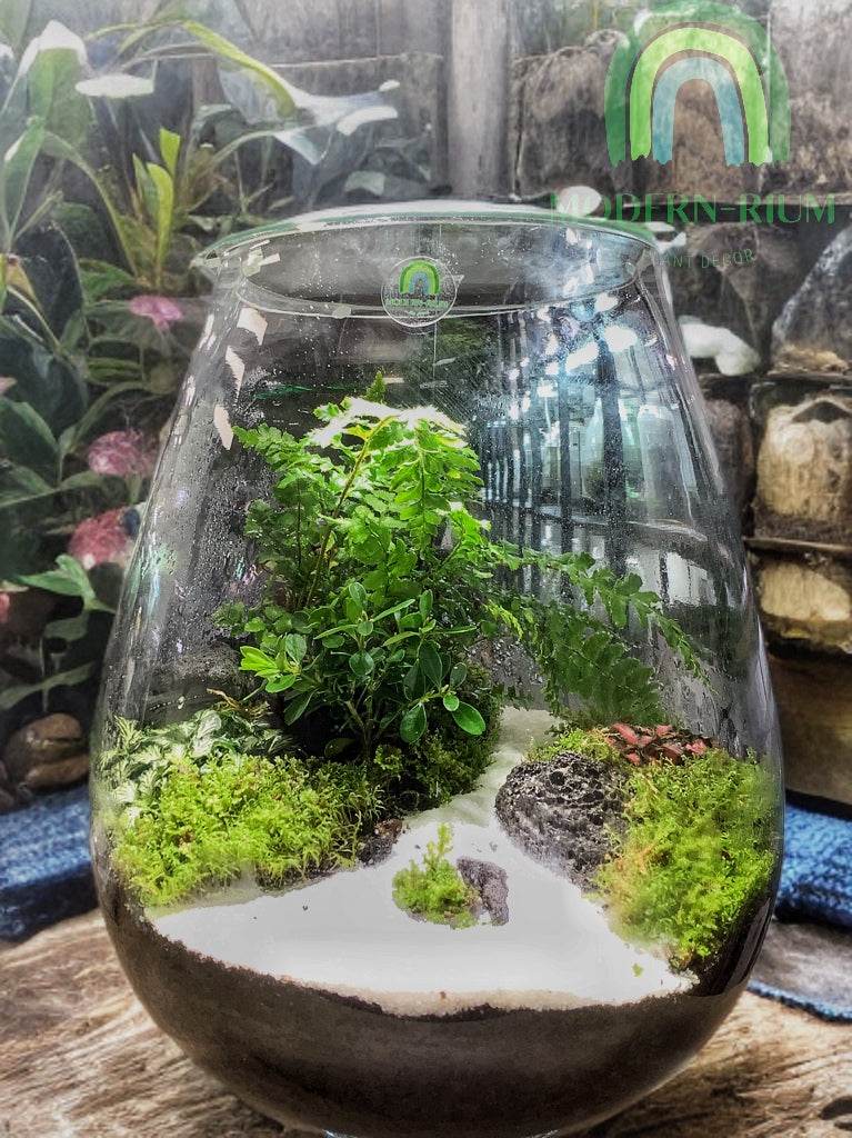 Whispering Grove – Elegant Terrarium with White Sand Path and Lush Green Canopy