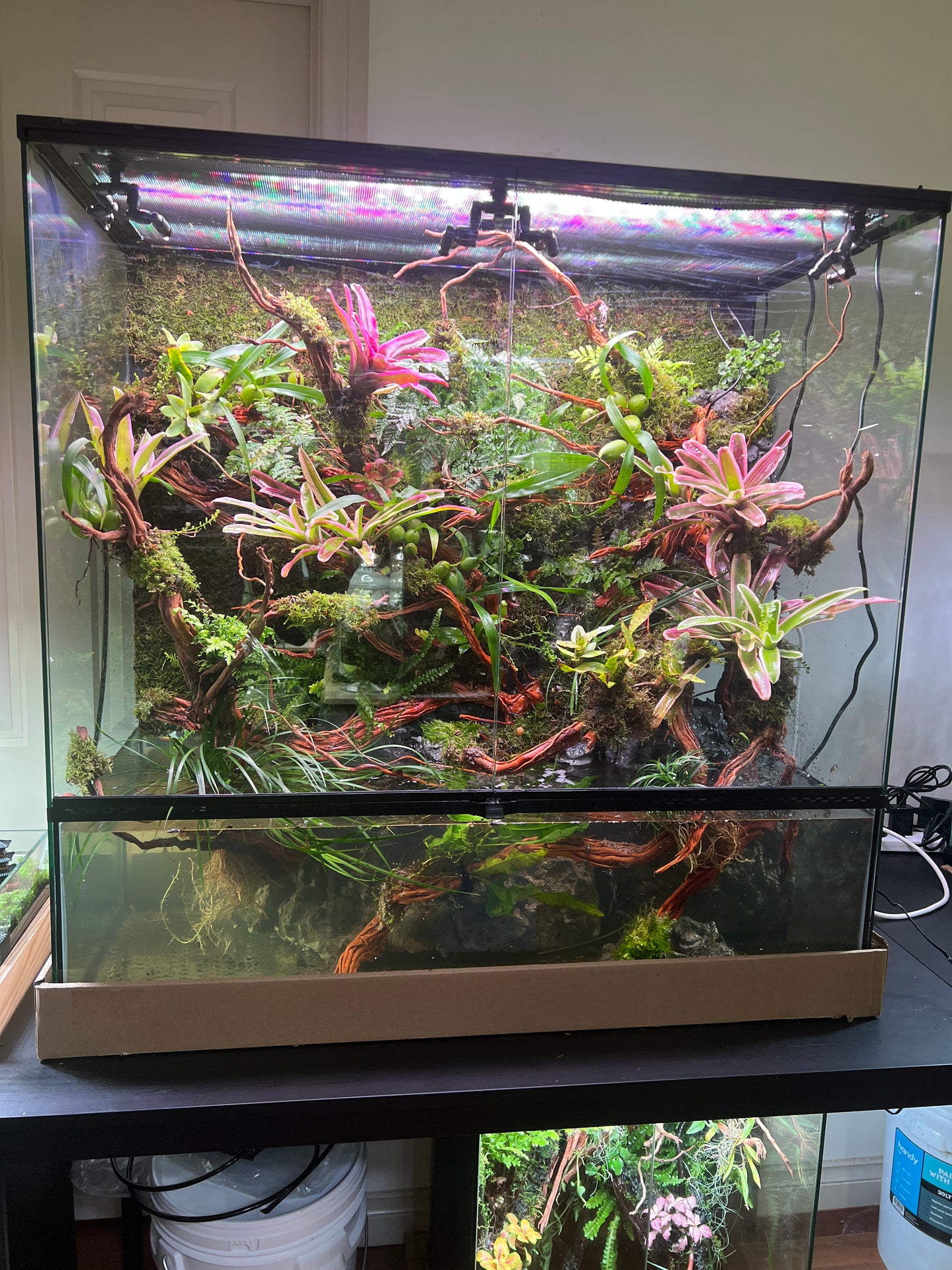 Vivarium TerrariumVivarium Terrarium with dripping system