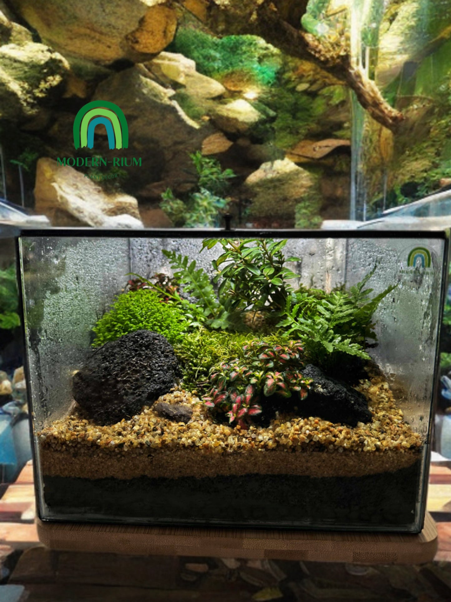 DIY Terrarium Kit 20x20x15cm