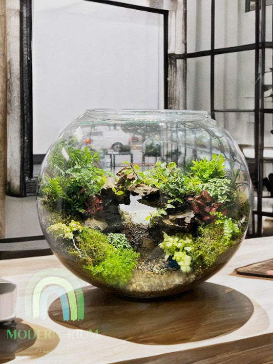 Mossbridge Hollow – Gateway Arch Terrarium in Glass Orb