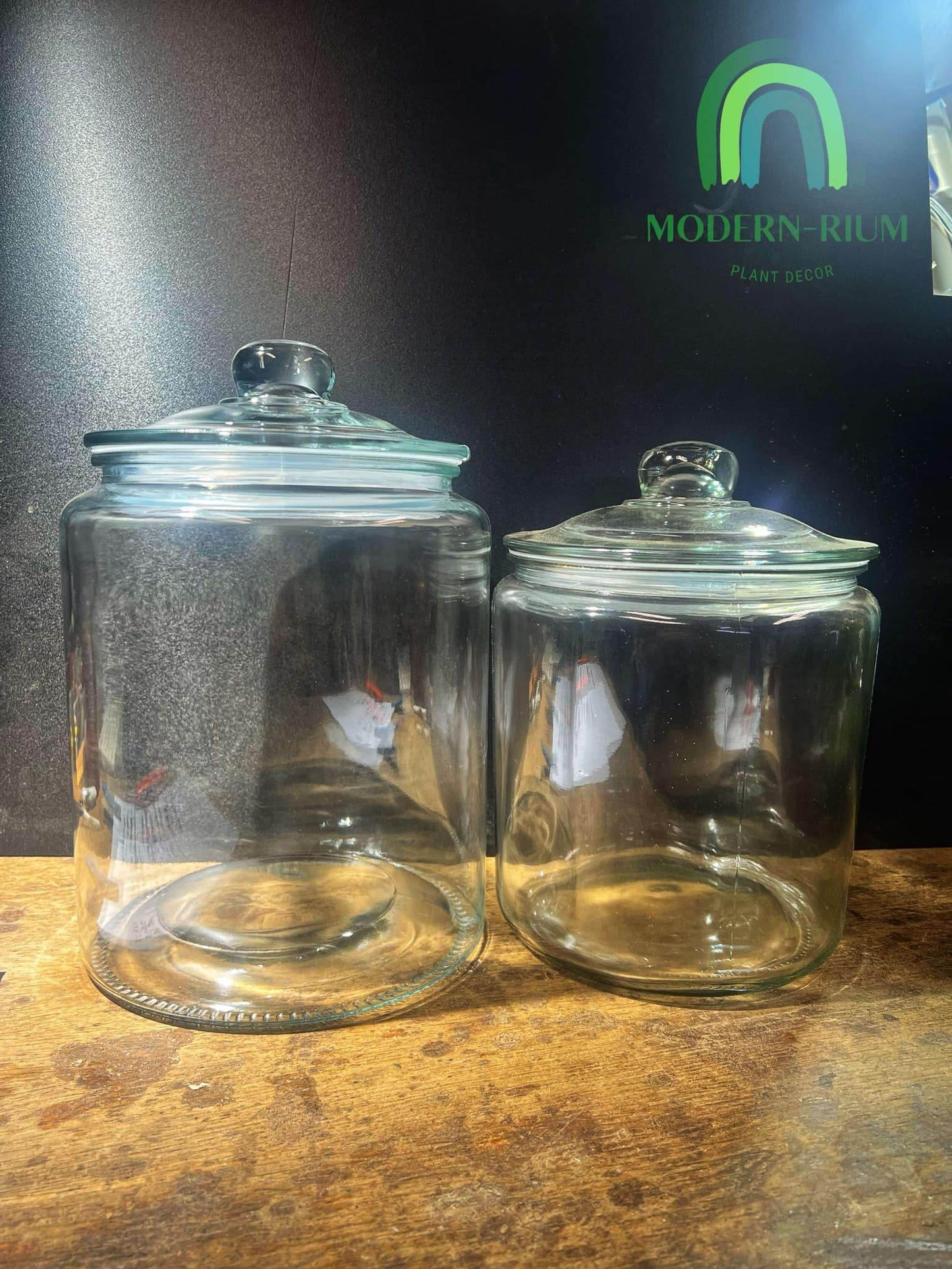 DIY Terrarium Kit Loli Jar Size 20*29
