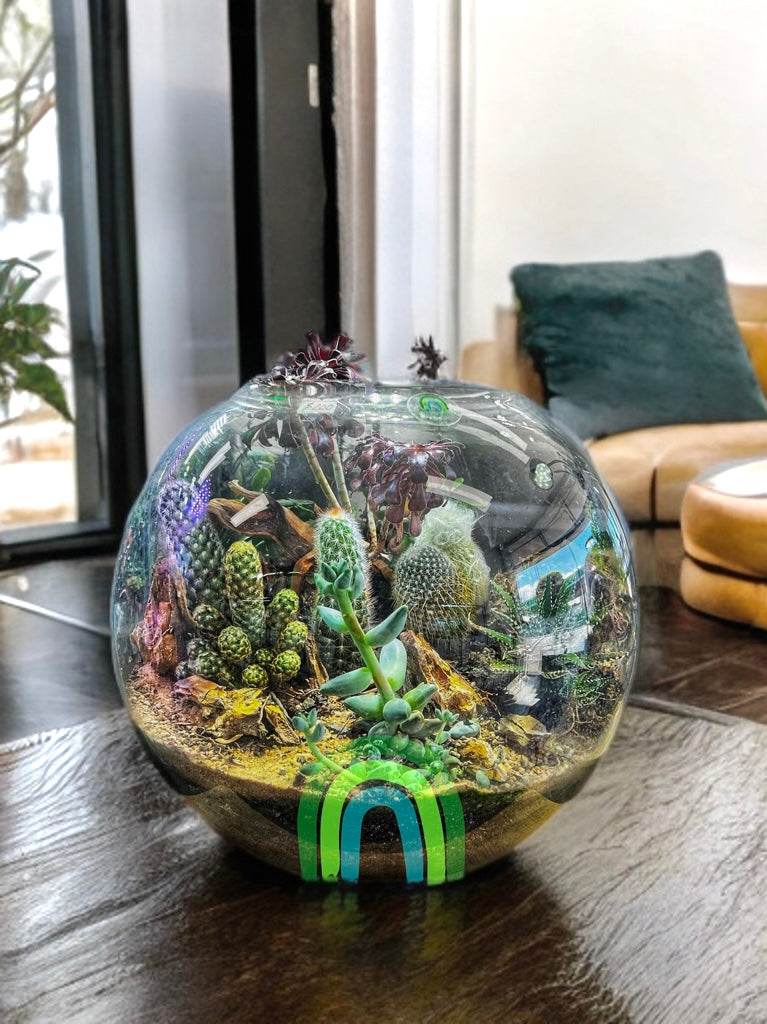 Dune Haven – Desertscape Terrarium in Glass Orb