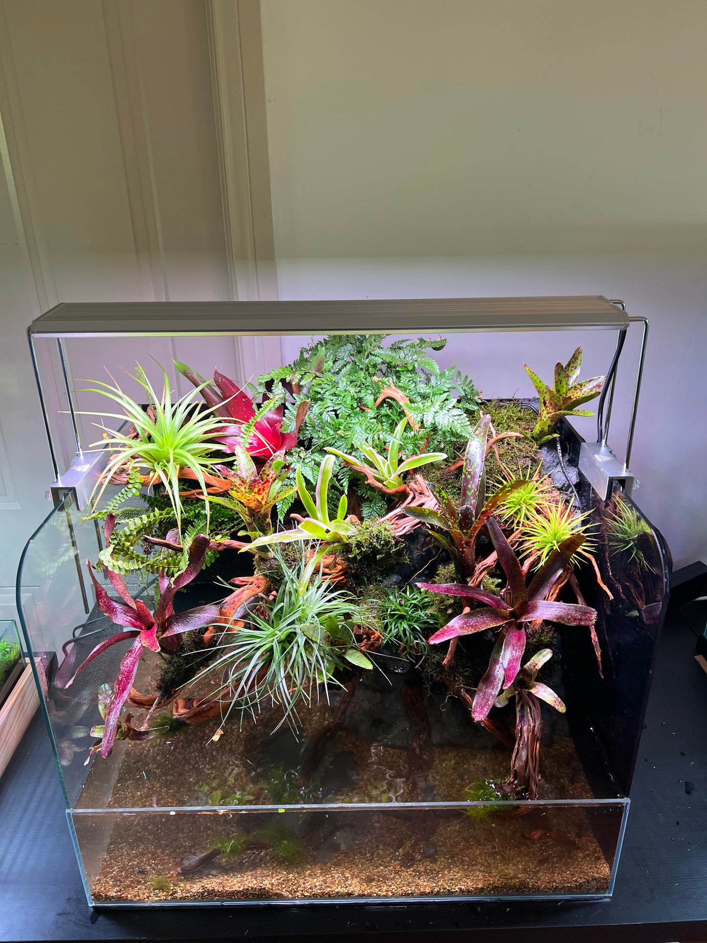 Vivarium TerrariumVivarium Terrarium with dripping system