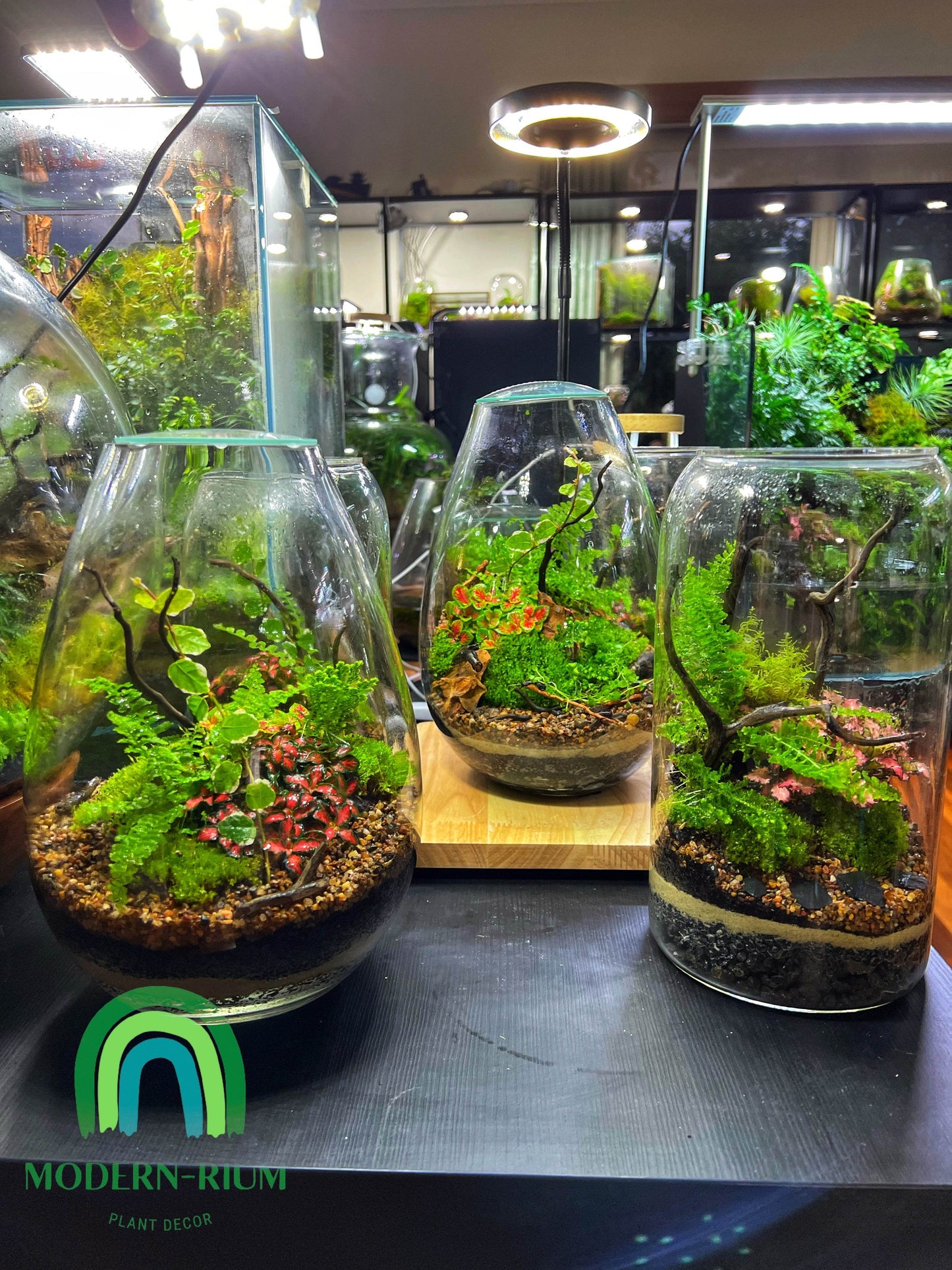 DIY Terrarium Kit 28x19cm Large Teardrop Terrarium Jar with Lid