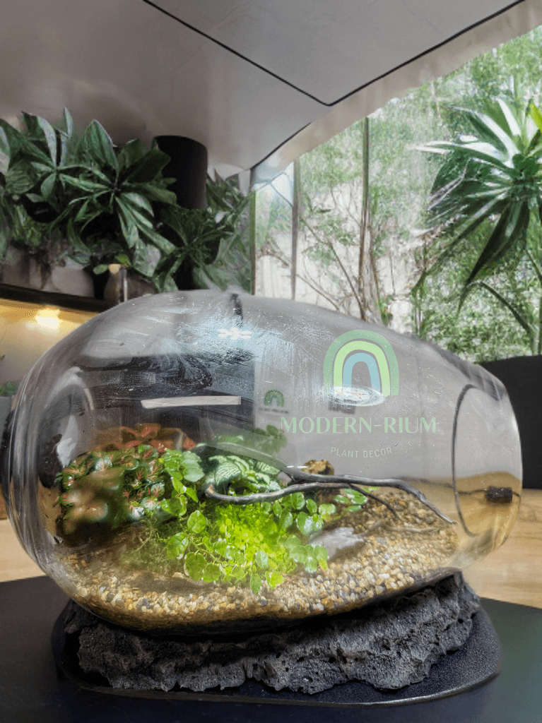 The Whispering Canopy – Botanical Terrarium in Panoramic Glass