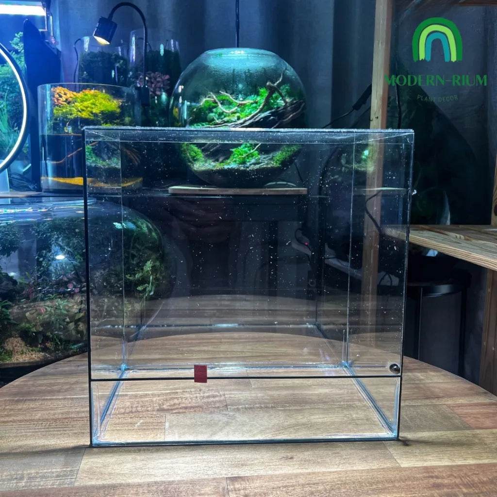Empty clear glass DIY terrarium kit box with door for easy access on wooden table in plant workshop