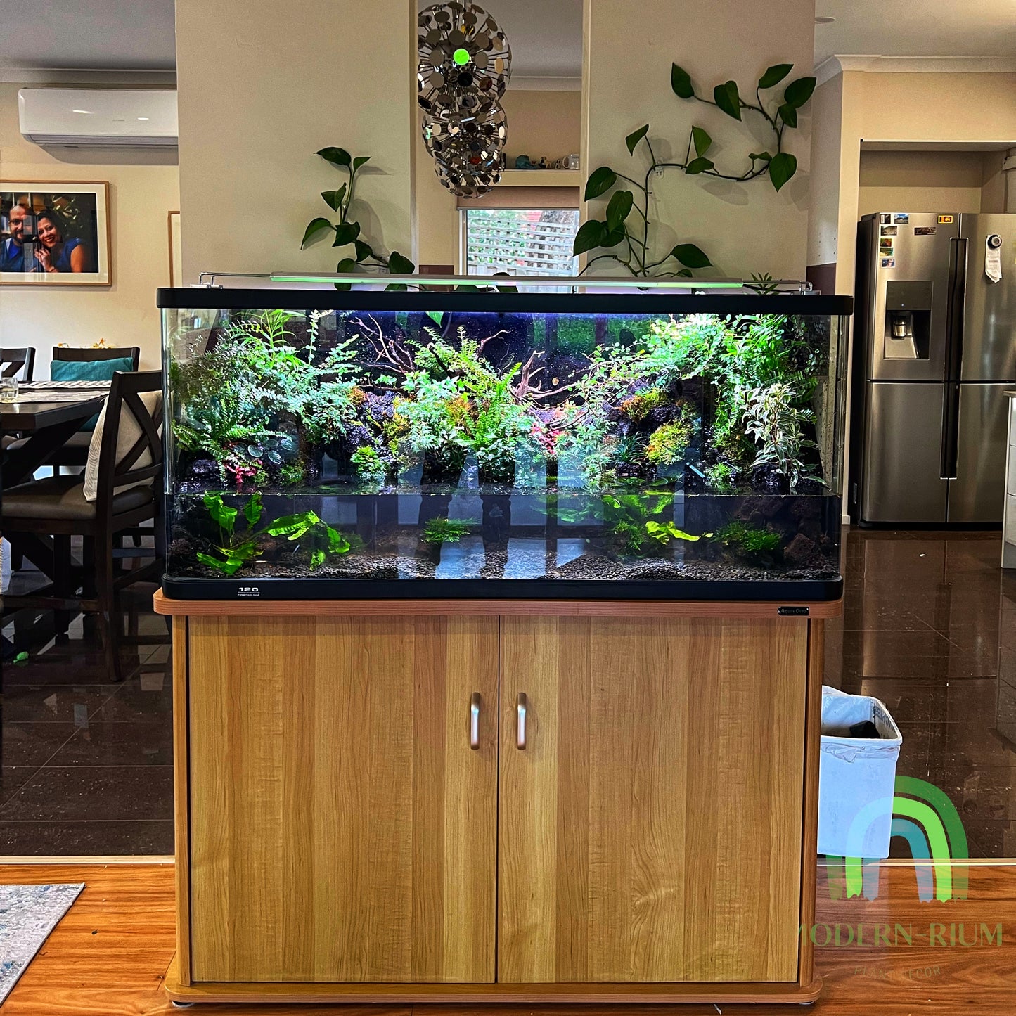 Vivarium TerrariumVivarium Terrarium with dripping system