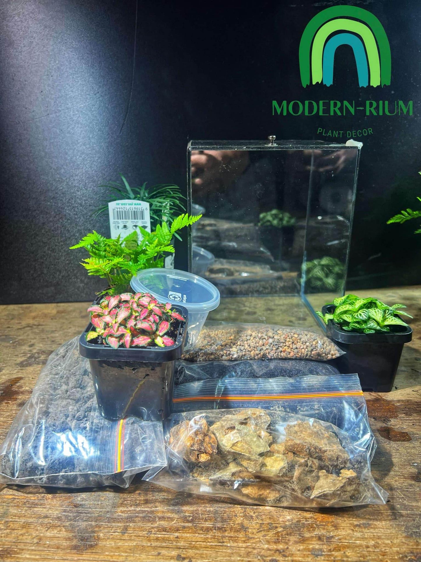 DIY Terrarium Kit 15x15x20 Tropical box