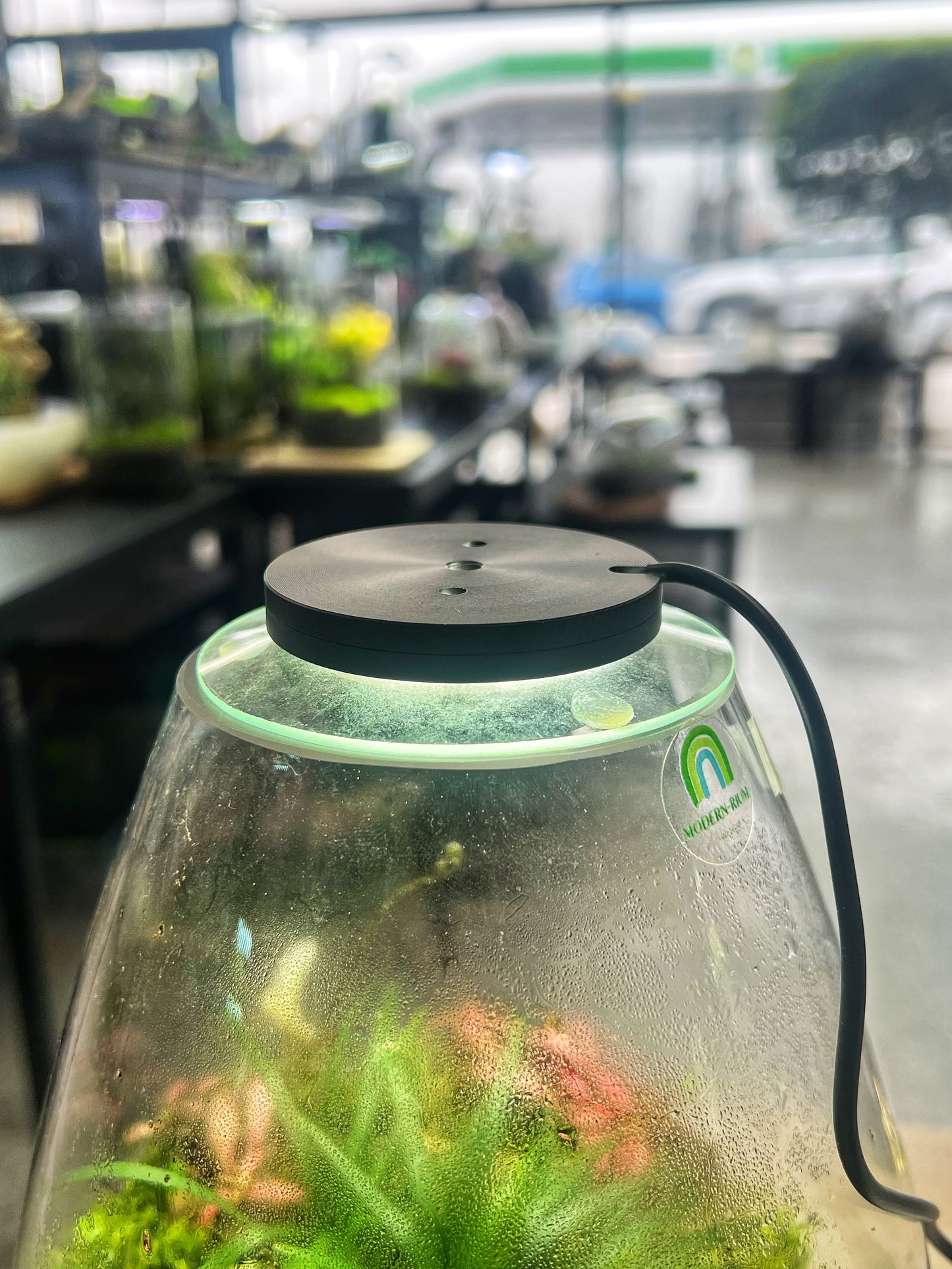 5W 6500K USB Grow Light for Terrarium