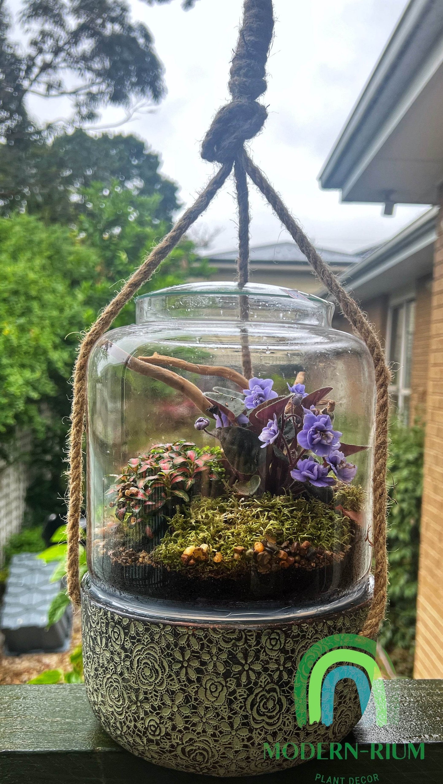 The hanging terrarium