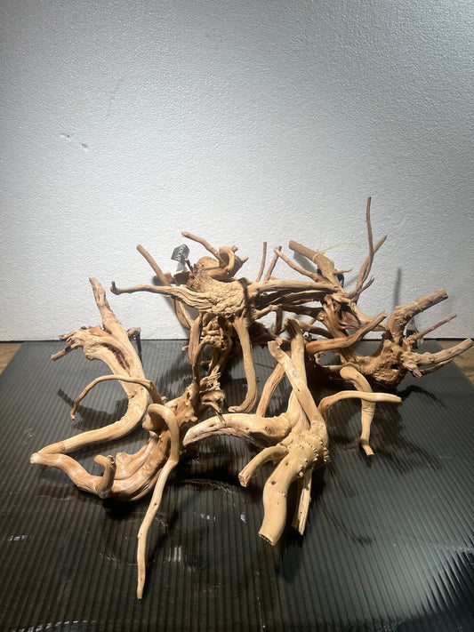 Spider wood 17-20cm