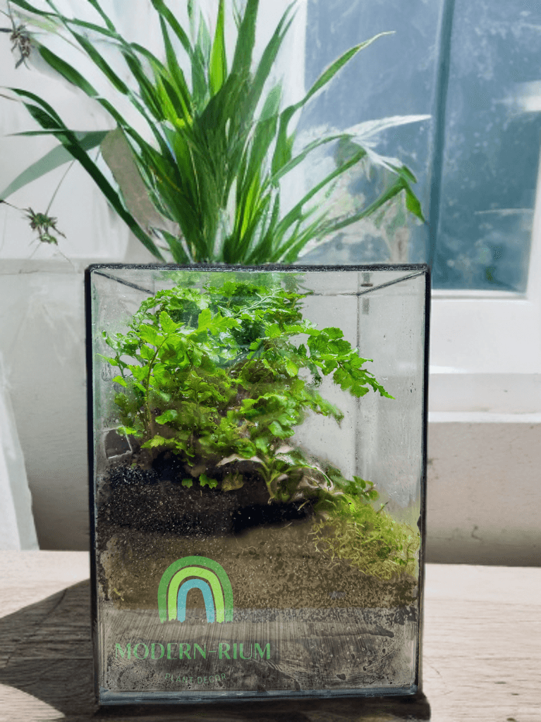 Echo of Eden – Vertical Terrarium in Forest Glass