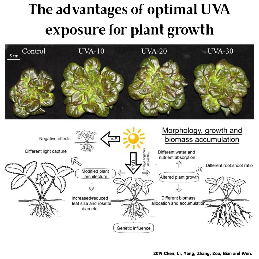 WEEK AQUA NEW S Series S300 S450 PRO RGB+UVA App controlled Black