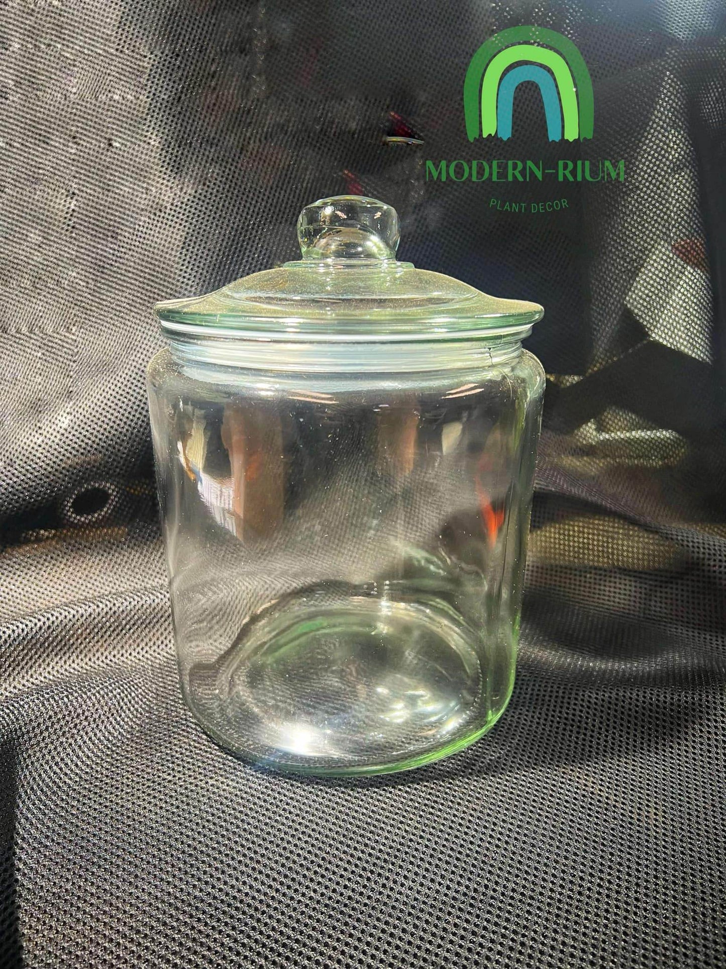 DIY Terrarium Kit Loli Jar Size 19x25