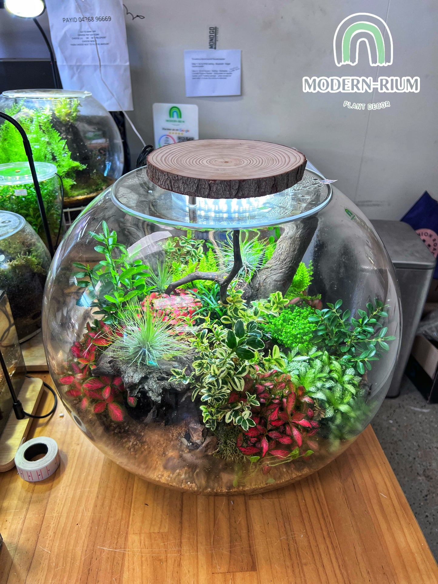 Terrarium Light USB LED Grow Light 10W 6500k 13-14cm round