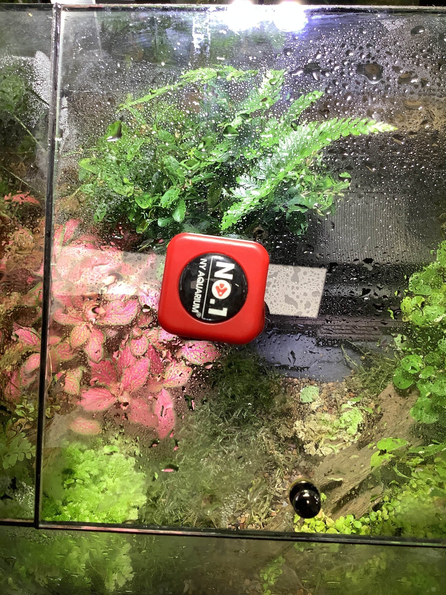 Terrarium magnetic cleaner