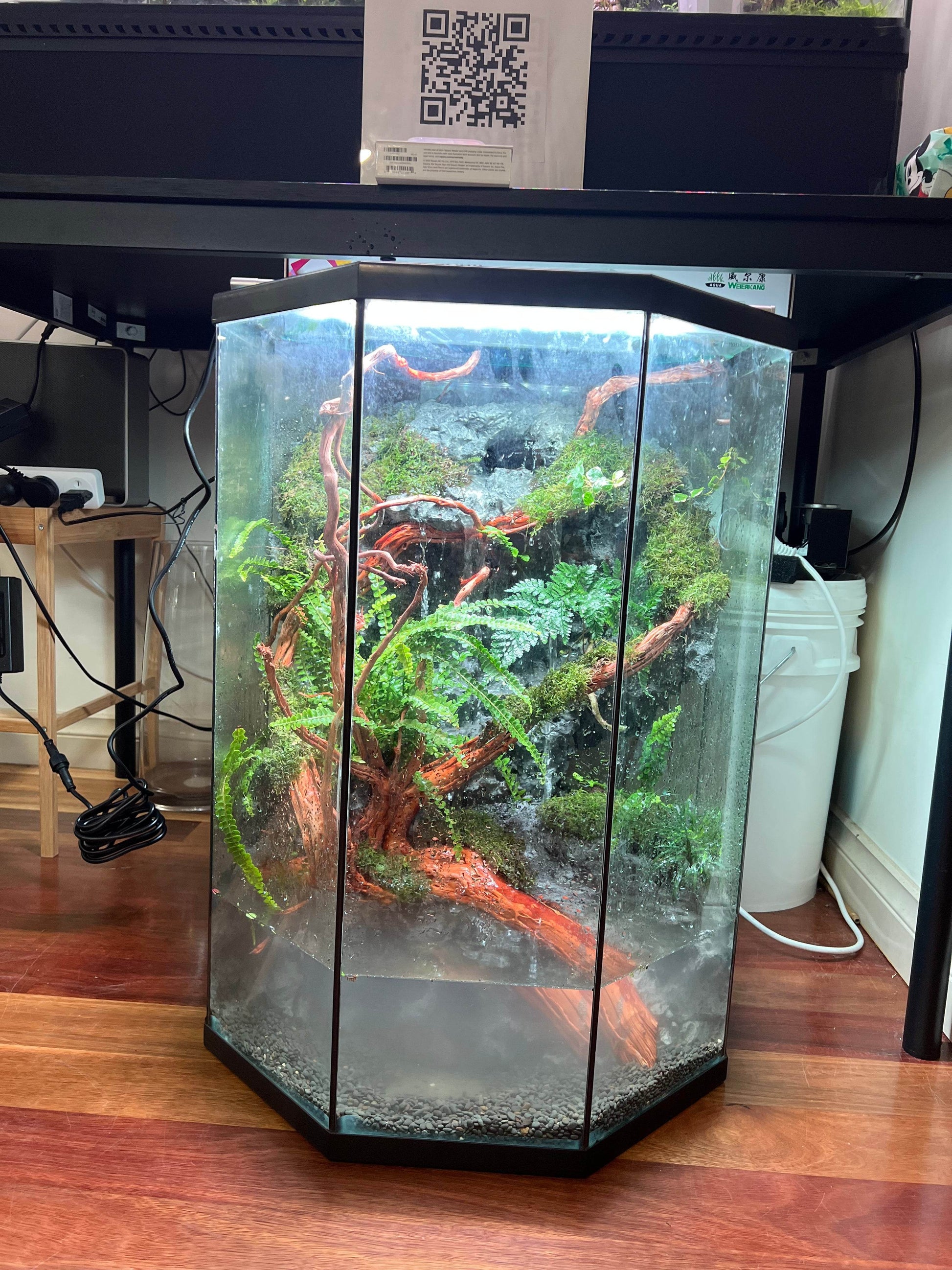 Vivarium TerrariumVivarium Terrarium with dripping system