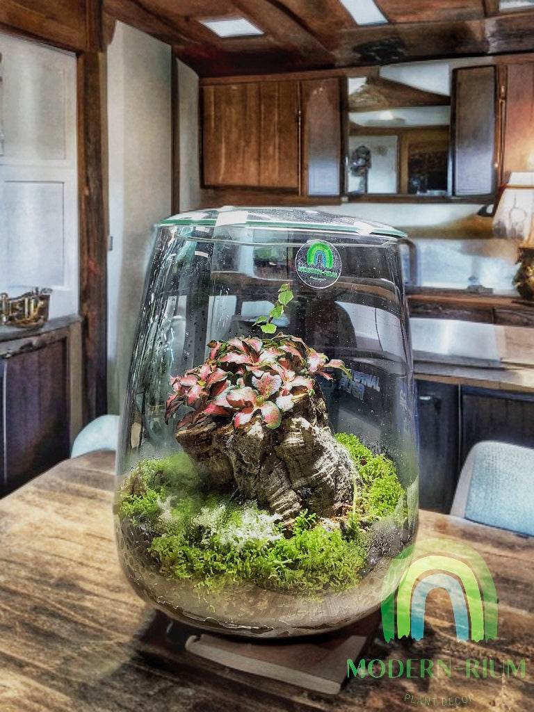 Whispering Canopy – Woodland Grove Terrarium in Tall Glass Cylinder