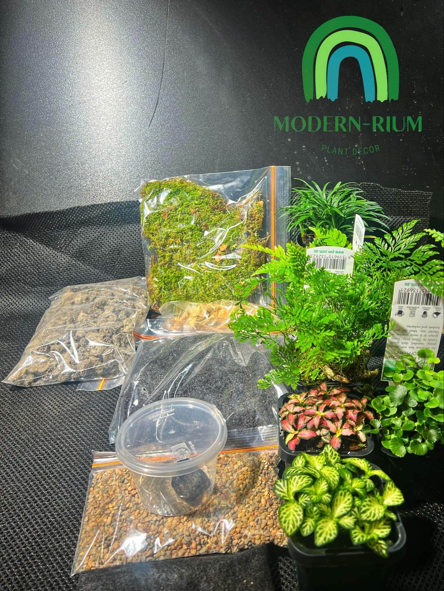 DIY Terrarium Kit Loli Jar Size 20*29
