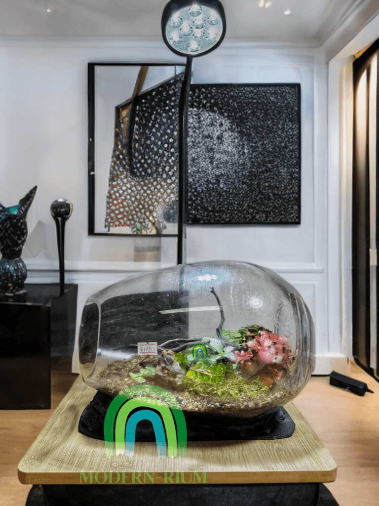 The Whispering Canopy – Botanical Terrarium in Panoramic Glass