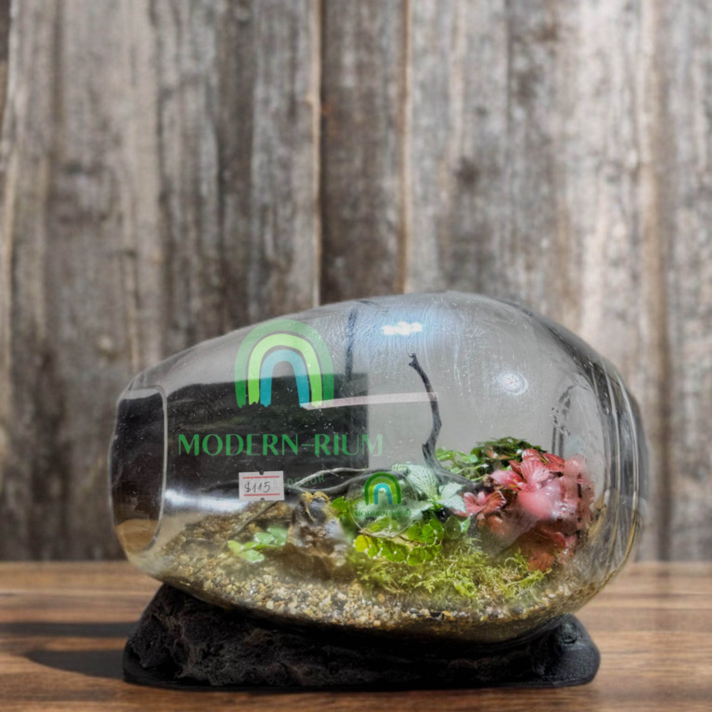 The Whispering Canopy – Botanical Terrarium in Panoramic Glass