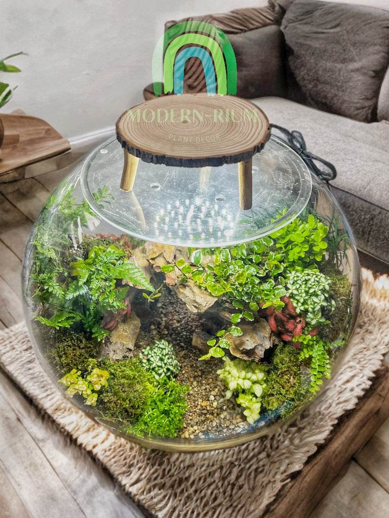 Mossbridge Hollow – Gateway Arch Terrarium in Glass Orb