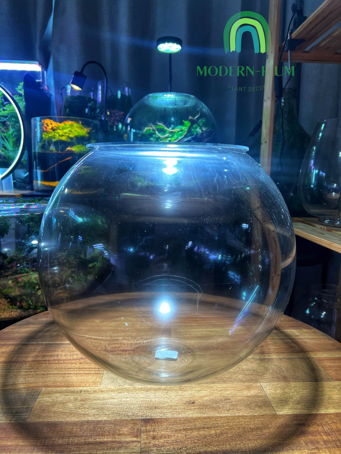 DIY Terrarium Kit 35cm Fishbowl Terrarium DIY Kit with Lid