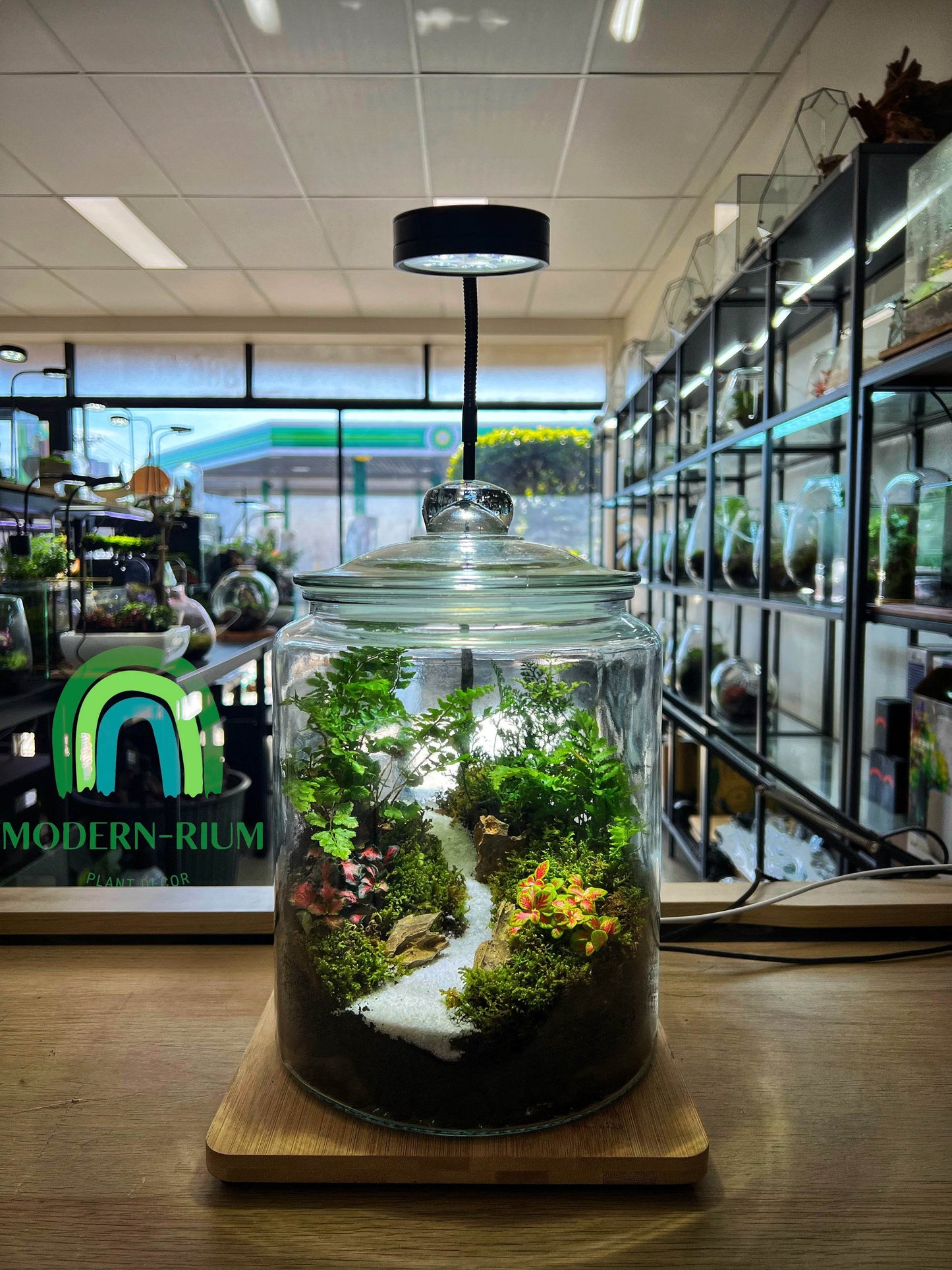 DIY Terrarium Kit Loli Jar Size 20*29