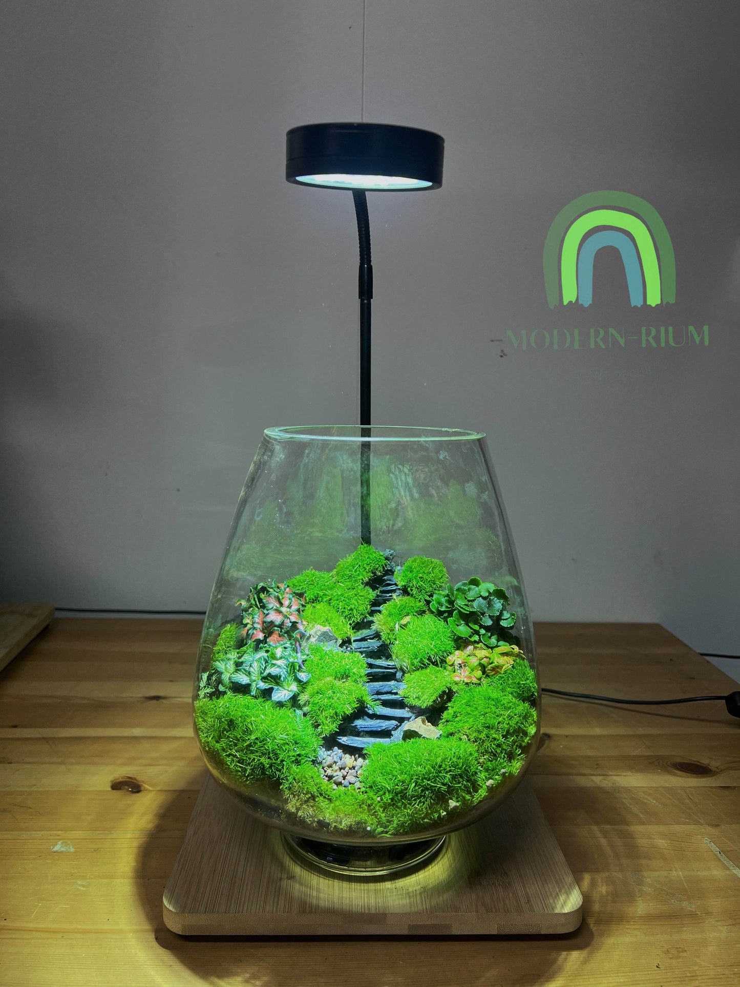 The Ruin - EcoCourier series