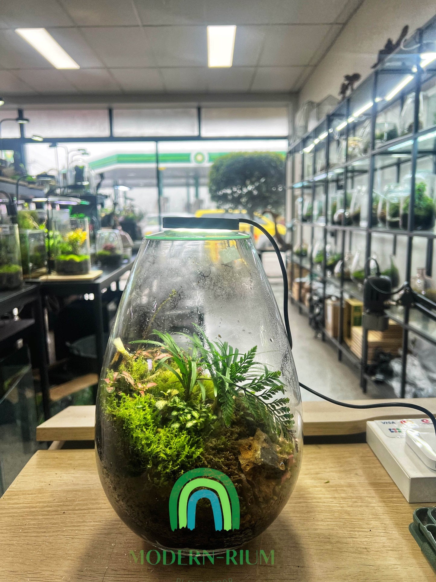 5W 6500K USB Grow Light for Terrarium