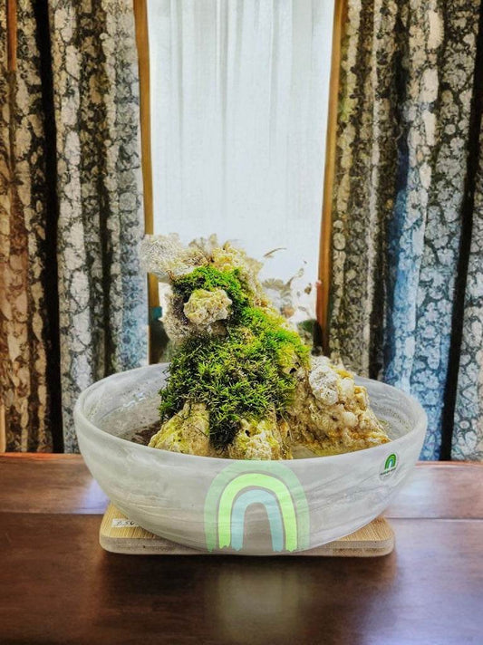 Mistspire – Alpine Mossscape in Marble Glass Bowl