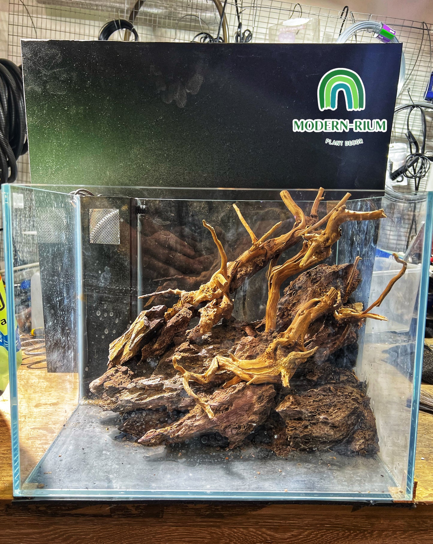 Amber Flow - Aquarium Module - Diorama Style