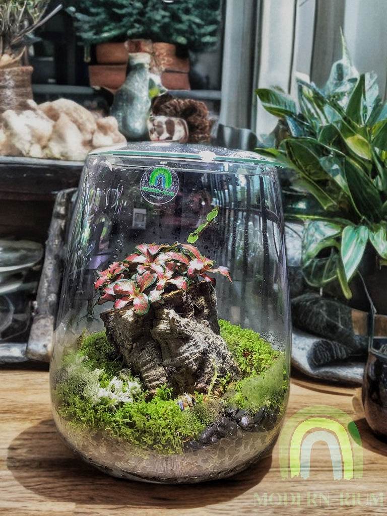 Whispering Canopy – Woodland Grove Terrarium in Tall Glass Cylinder