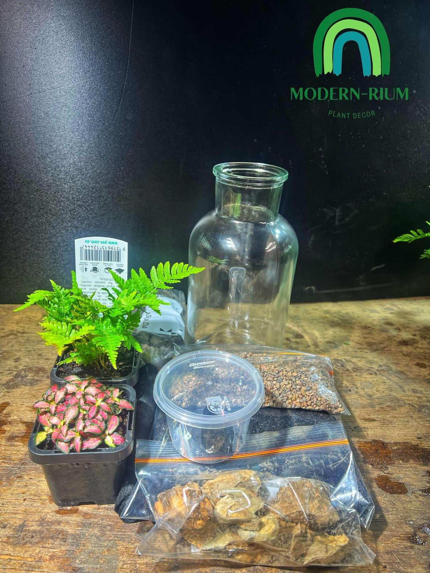 DIY Terrarium Kit Flower vase with lid