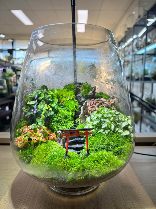 Torii gate mountain terrarium- EcoCourier series - ready made terrarium Australia wide