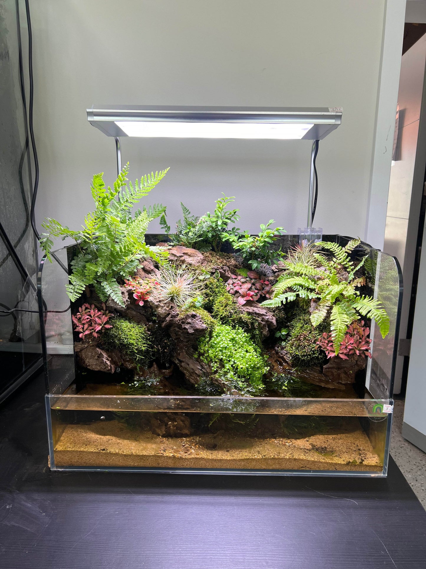 Pine Bark rock - Easy to break Inert rock for Aquariums