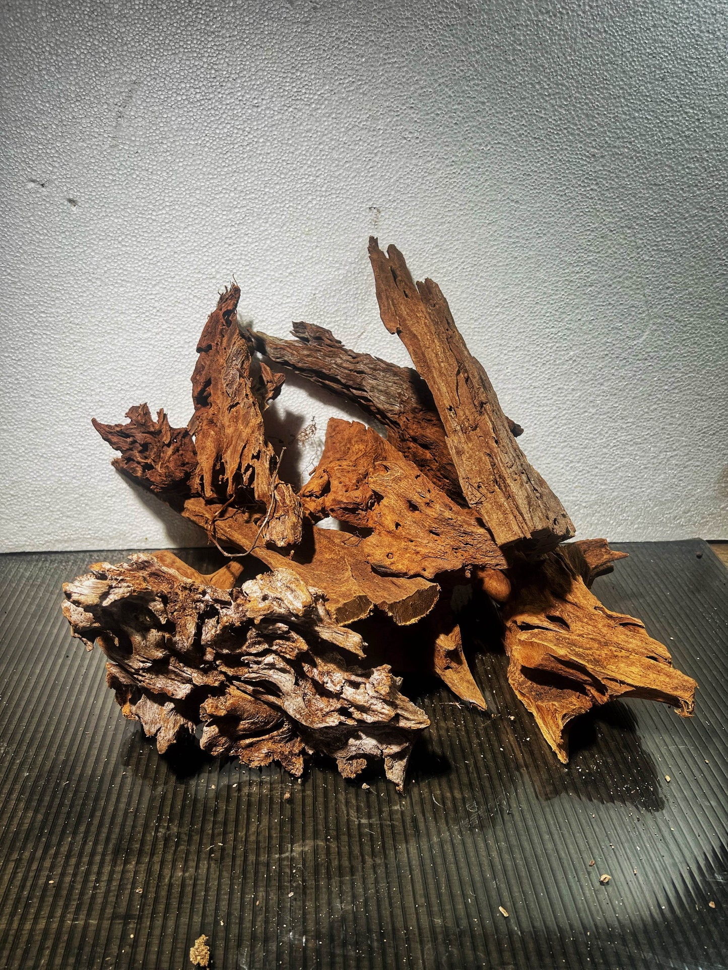 Malaysian drift wood size Small