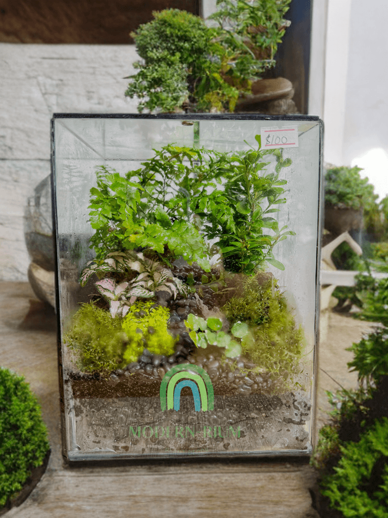 Echo of Eden – Vertical Terrarium in Forest Glass