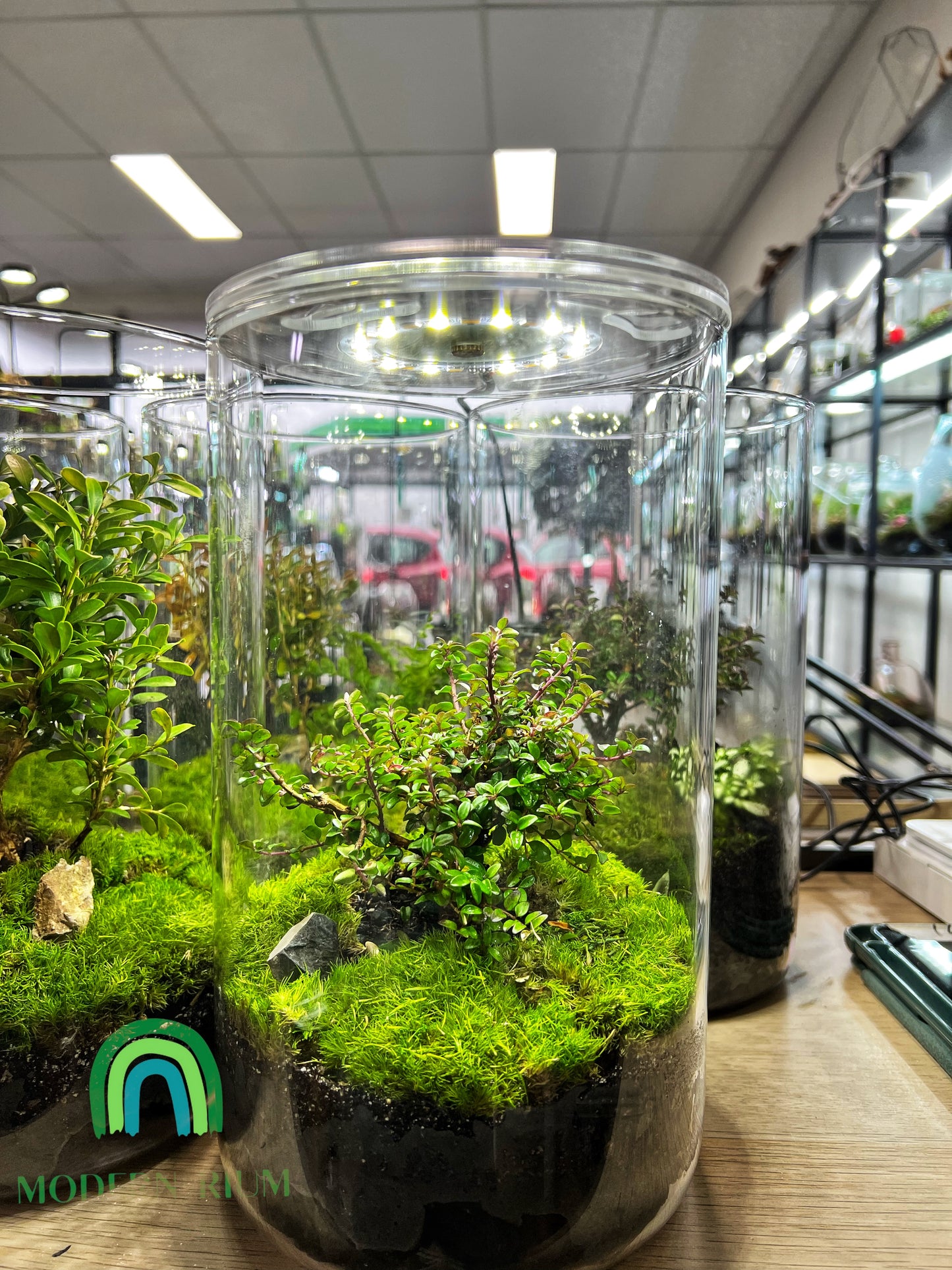 22x15cm cylinder with builtin lid grow light
