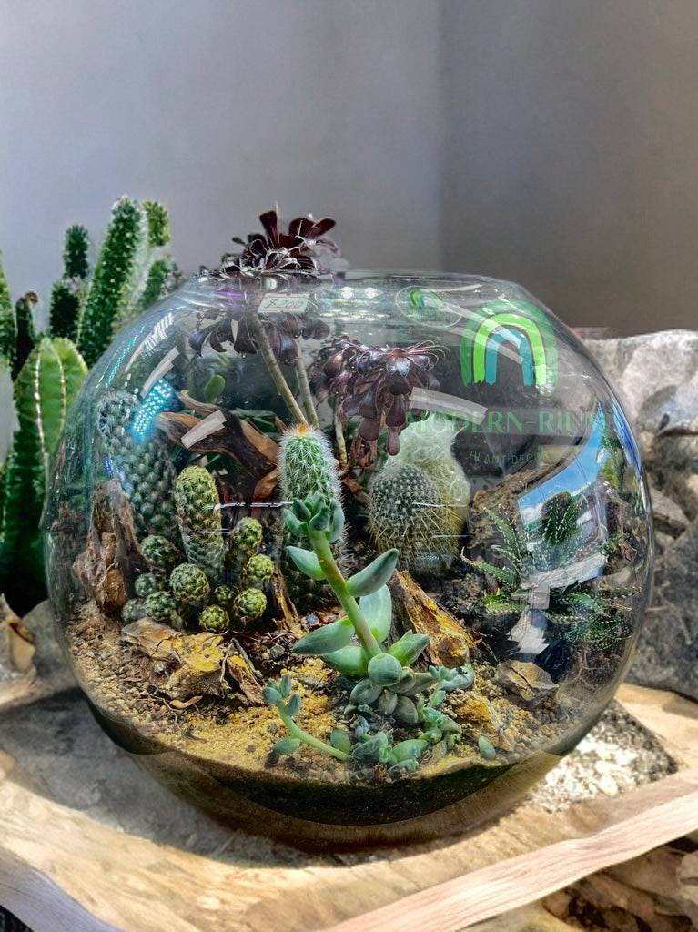Dune Haven – Desertscape Terrarium in Glass Orb