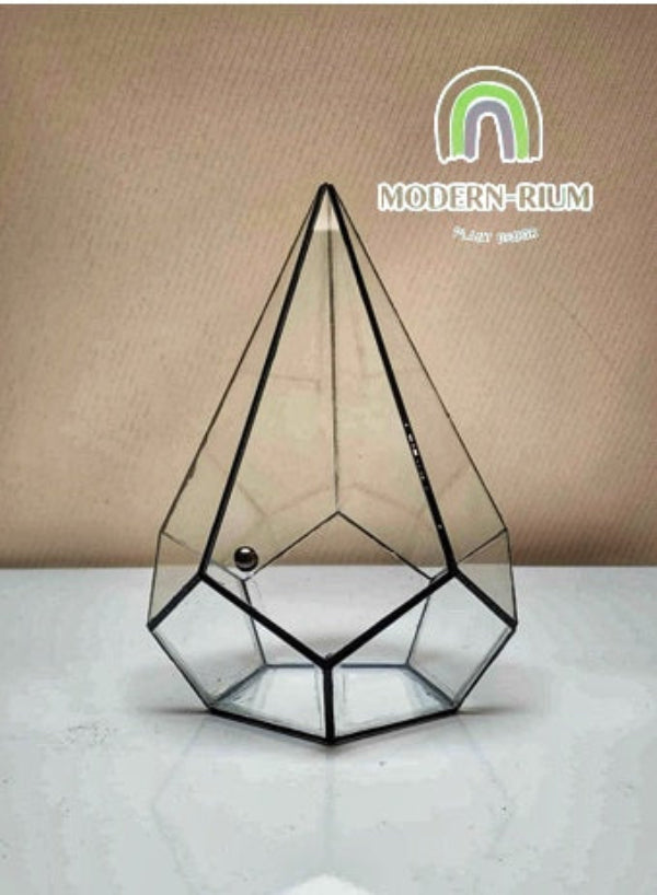 DIY Terrarium kit - Jewel of the Forest