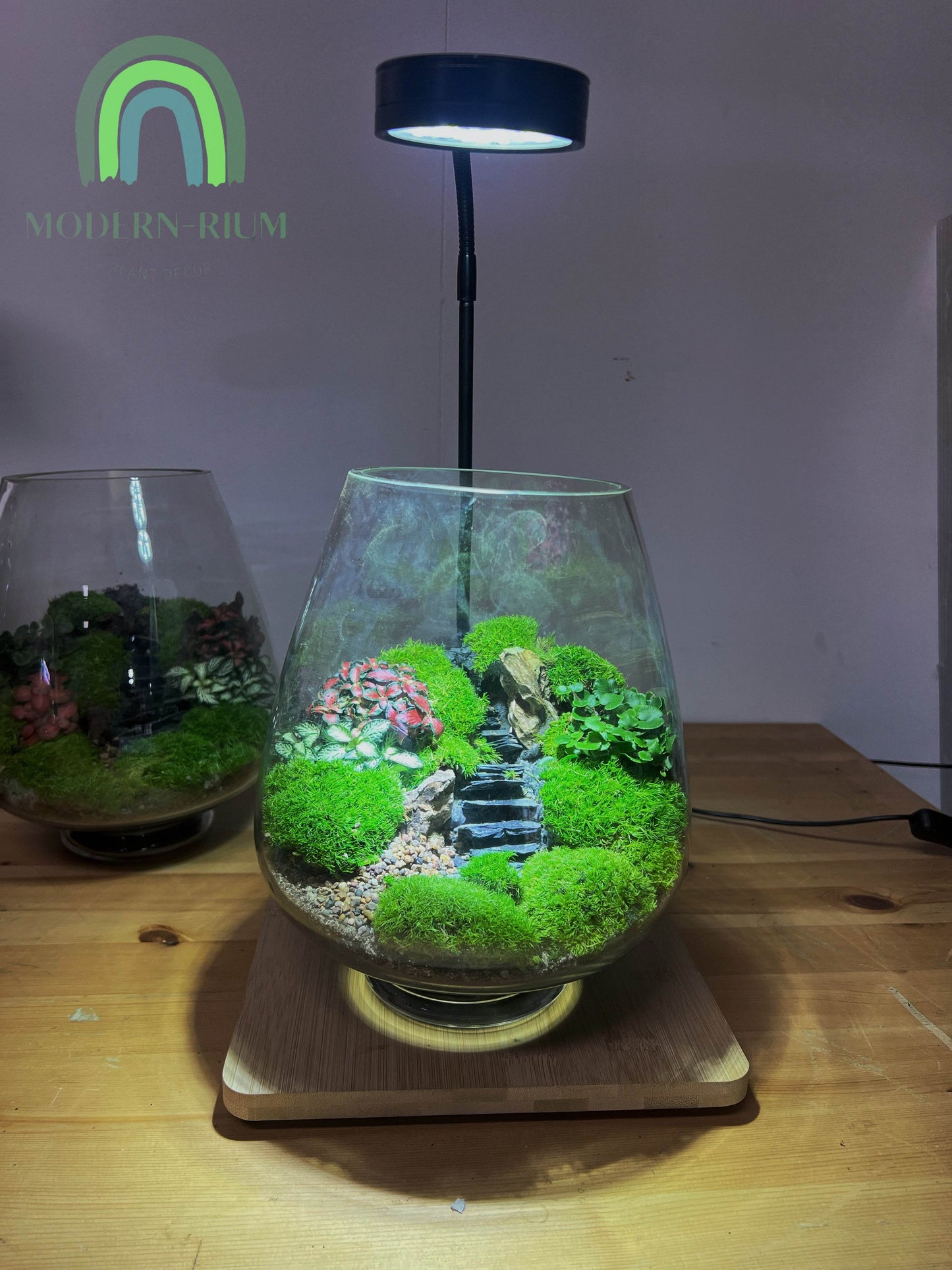 The Ruin - EcoCourier series