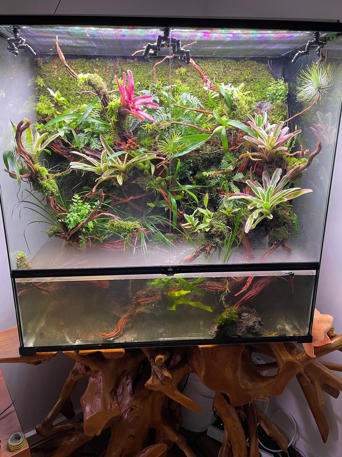 Vivarium TerrariumVivarium Terrarium with dripping system