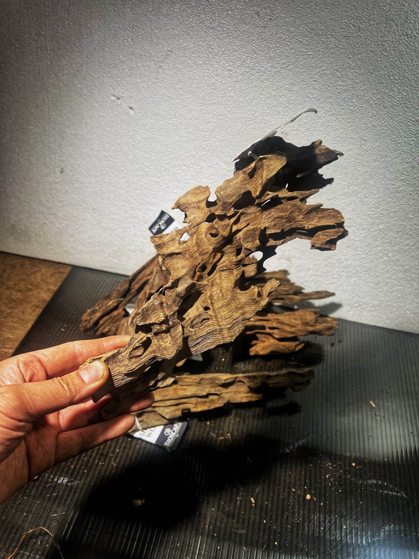 Dragon wood size Small