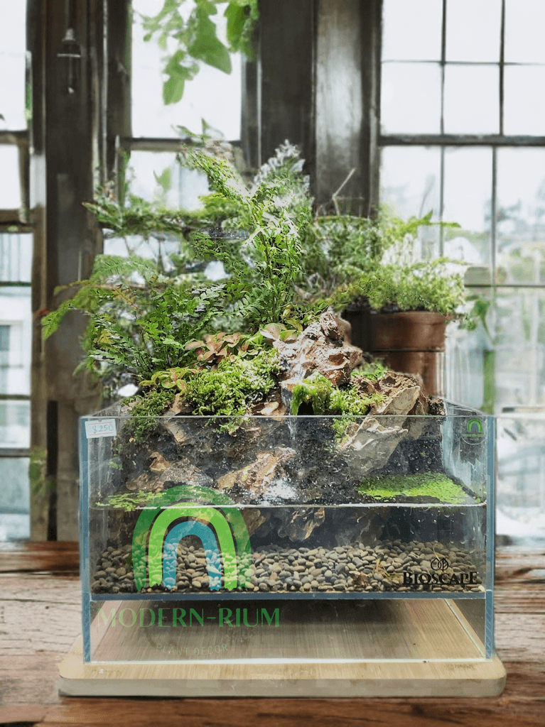 Echo Falls – Paludarium Featuring Cascading Water and Mossy Rockscapes