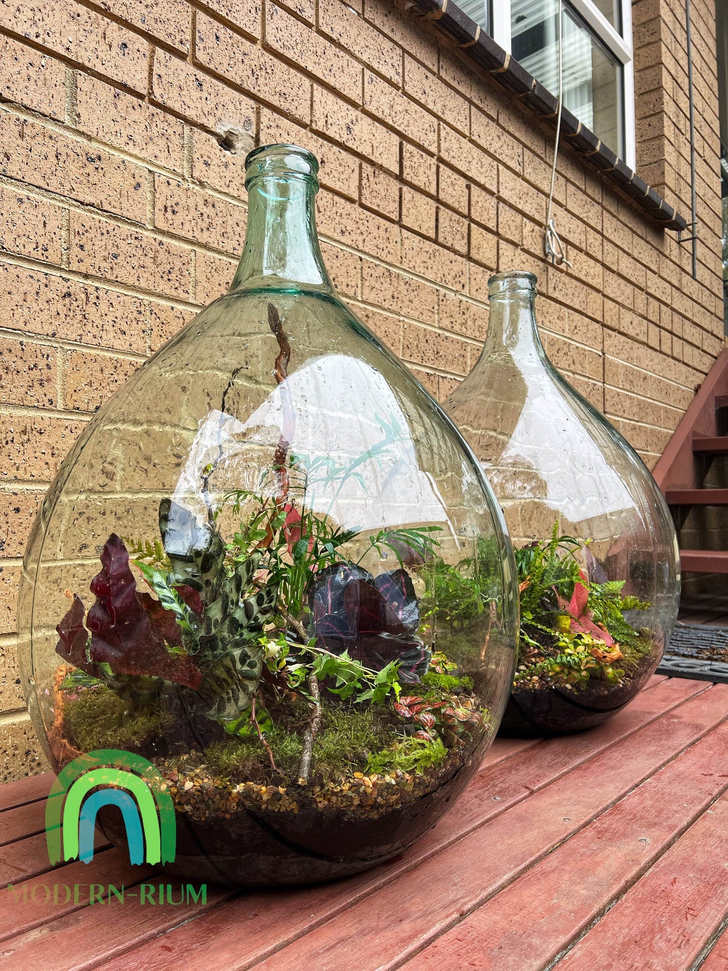 Demijohn 54l 60cm high (Not for interstate postage)